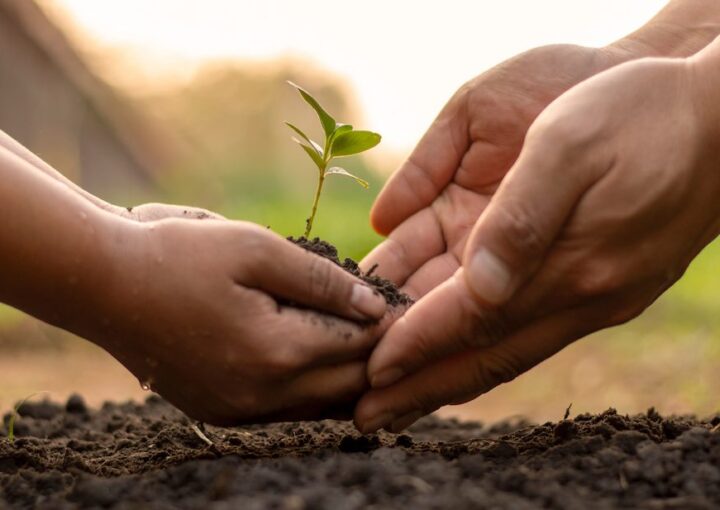 Hako Pledges to be ‘Net Zero’ by 2023