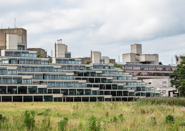 University of East Anglia Client Testimonial