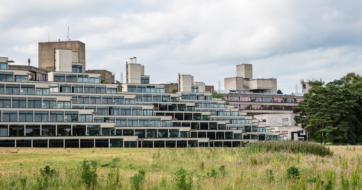 University of East Anglia Client Testimonial